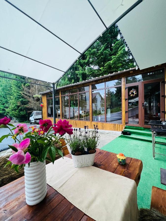 Cabana Din Poienita Poiana Brašov Exteriér fotografie