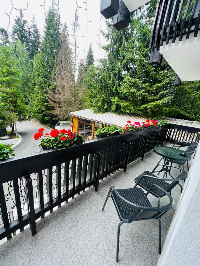Cabana Din Poienita Poiana Brašov Exteriér fotografie