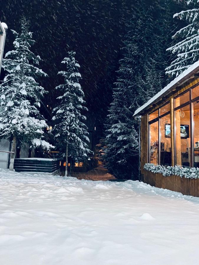 Cabana Din Poienita Poiana Brašov Exteriér fotografie