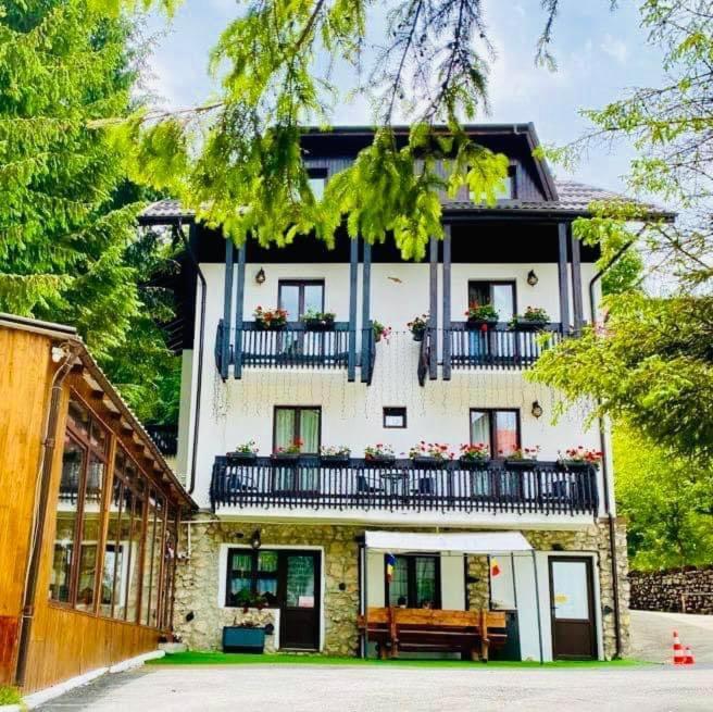 Cabana Din Poienita Poiana Brašov Exteriér fotografie